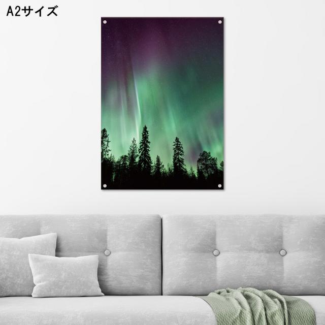 アートパネル おしゃれ 壁掛け 北欧 夜空 オーロラ 風景 カラフル  アクリル ボタニカル リーフ 植物 森 森林 天体 天体観測 自然現象 絶景 自然 ナチュラル 人気 結晶 ストーン高級 オブジェ パネル アート 北欧の通販は 9,768円