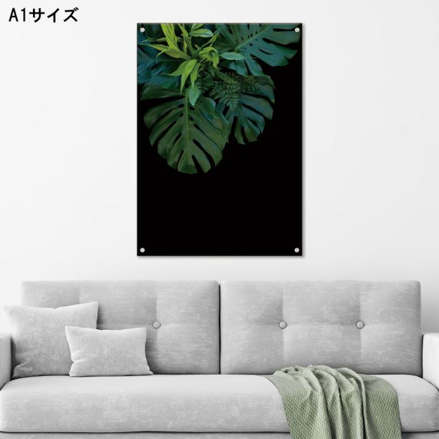 アートパネル おしゃれ 壁掛け モノトーン モダン リーフ 植物 自然 ナチュラル 観葉植物 アクリル 黒背景 黒 ブラック ジャングル ボタニカル 風景 人気高級 オブジェ パネル アート 北欧の通販は