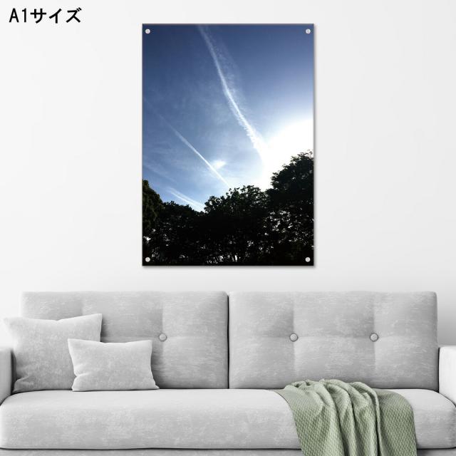 アートパネル おしゃれ 壁掛け 風景 空 雲 飛行機雲 木 樹木 森林 青空 太陽 日本 アクリル ボタニカル リーフ 植物 自然 ナチュラル 風景 カラフル 人気 結晶 ストーン高級 オブジェ パネル アート 北欧の通販は