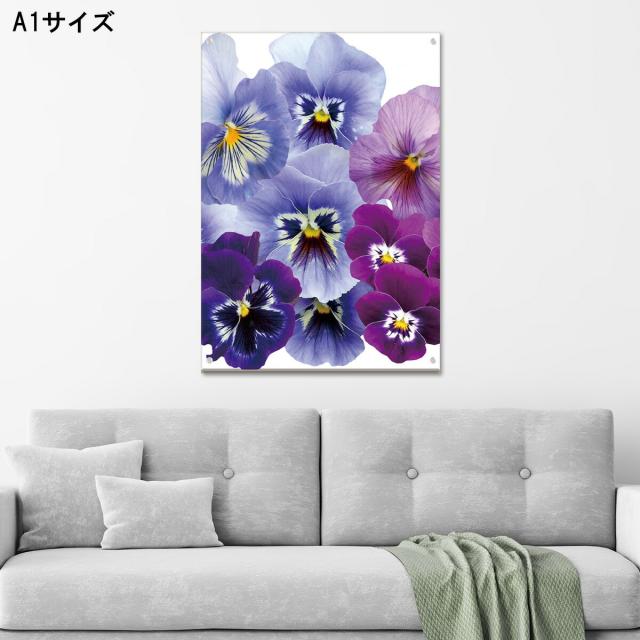 アートパネル おしゃれ 壁掛け 花 母の日 カフェ パンジー かわいい グラデーション アクリル 花 母の日 真紅 押し花 パンジー チューリップ ピンク 花束 人気高級 オブジェ パネル アート 北欧の通販は