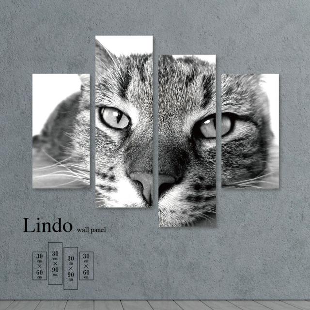 アートパネル おしゃれ 壁掛け 動物 アニマル 実写 モノトーン モノクロ 猫 かっこいい 北欧 デザイン アート 壁飾り 4枚セット ファブリックパネルの通販は