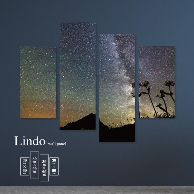 アートパネル おしゃれ 壁掛け 星 銀河 宇宙 夜空 満天 景色 自然 風景 北欧 デザイン ファブリック 壁飾り 4枚セット ファブリックパネルの通販は