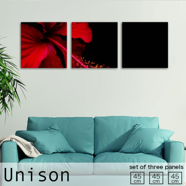 アートパネル Unison Mサイズ かっこいい シンプル ハイビスカス 赤 黒 花 母の日 植物 一輪 おしゃれ 壁掛け 絵 生地 オシャレの通販は