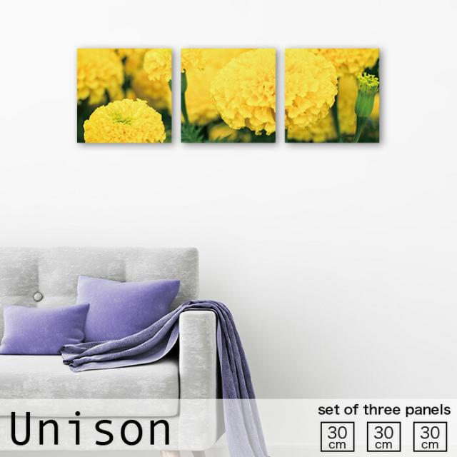 アートパネル 壁掛け 30cm 3枚セット マリーゴールド キク 花 フラワー 小花 花びら 花柄 植物 菊 リーフ 自然 ナチュラル 木 葉っぱ 彩り 鮮やか 花言葉 健康 パネル アート インテリア 壁 軽量 おしゃれ 絵 モダン 玄関 Unison 北欧 連結 ファブリック ボードの通販は 9,656円