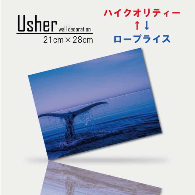 壁掛け 海 インテリア アート アートパネル 絵 ファブリックパネル クジラ オーシャン マリン 生き物 生物 水しぶき 水面 迫力 自然 ネイチャー 横長 パネル かっこいい 写真 フォト 人気 日本製の通販は 5,729円