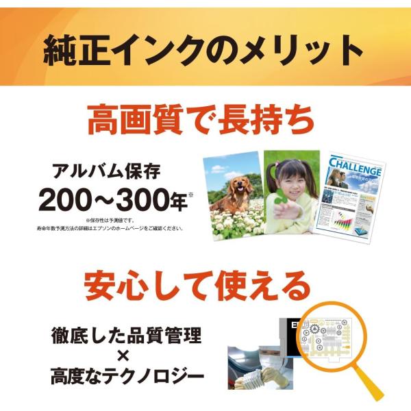 IB10CL4A エプソン 純正インクカートリッジ 4本組 プリンターインク IB10 EPSON EW-M530F カードケース 箱なし