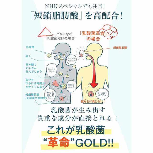 乳酸菌革命GOLD ゴールド 6倍濃縮 2袋 通常の乳酸菌革命では満足できない方へ 健康いきいき倶楽部 酪酸 高配合 水溶性食物繊維 イヌリン