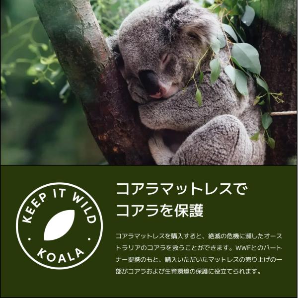 【直接引き取り5000円値下げします】Koala コアラマットレス　ダブルサイズ koala マットレス ダブル 21cm厚