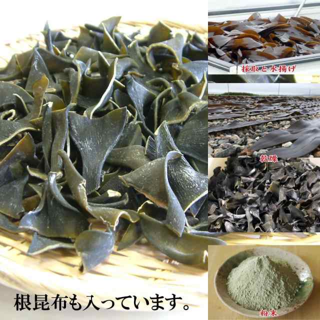 昆布 昆布粉末 無添加 真昆布 微粉末 70g×5個 函館産 真昆布 こんぶ粉