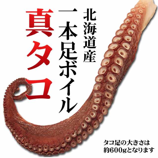 刺身 真タコ足 まるごと1本 約600g x 2本 北海道産 ボイル済み