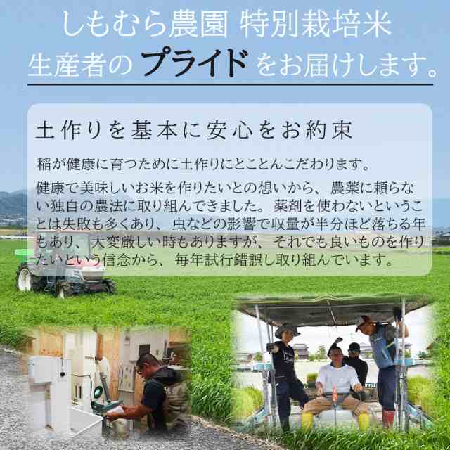 PR　特別栽培米　PLACE　有機肥料100％　佐賀県産　令和4年度産　MARKET　マーケット　PAY　マーケット－通販サイト　つやつや　5kg　もちもち　au　さがびより　マイスタの通販はau　受賞米】完全　コンテスト　お米　PAY　無農薬　米