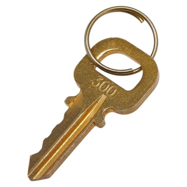 ルイヴィトン 鍵カデナ 50個セット キーロック ルイヴィトン鍵カデナ50