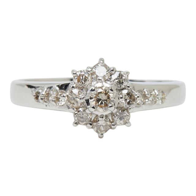 Pt900 プラチナ ダイヤモンド ダイヤ0.50ct フラワーモチーフ リング 指輪 レディース 16号 中古 38,220円