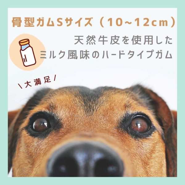 Petro ペトロ 犬 用 おやつ 骨 型 ガム Sサイズ ミルク味 1袋40本入 大型犬 中型犬 ペット ミルク香り 天然素材 牛皮 ハートタイプ の通販はau Pay マーケット 薬 コスメ 日用品 の店 三和堂