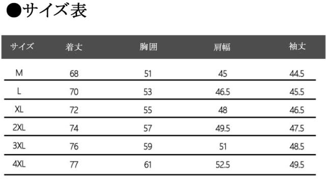 メンズ 男性用 半袖シャツ シンプル ハーフジップ 長袖 春秋 秋物 春物 運動用 シャツ トップス スウェット カットソー_2