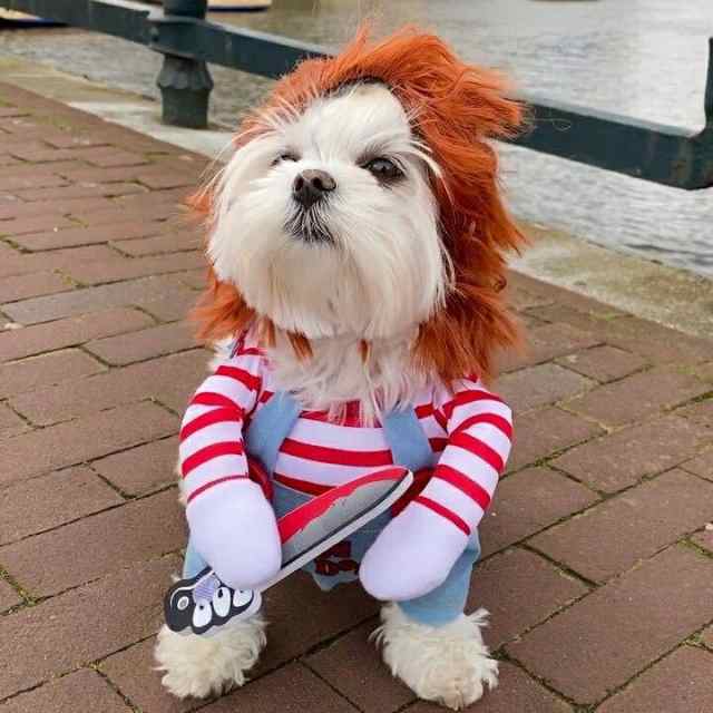 犬用コスチューム ハロウィン用 コスプレ キラー人形 犬服 なりきり