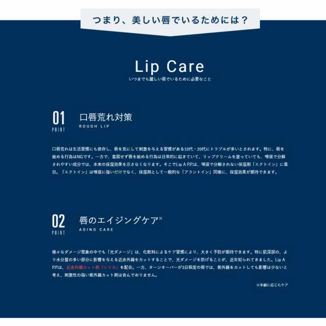 Lip Å P.P. リップエープロフェッショナルプロテクション 4g 無香料