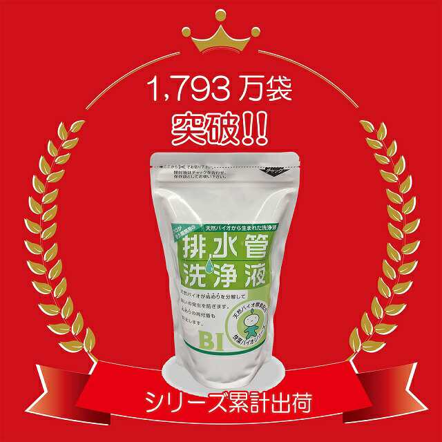 排水管洗浄液 500ml×12個セット