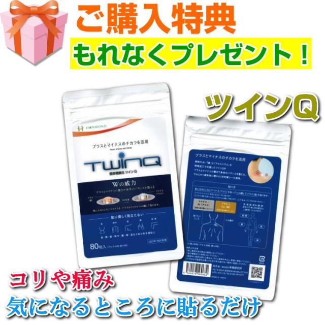 十種神宝ペンダント　願GAN＋守SHU　特別キャンペーンセット ツインQプレゼント とくさのかんだから　お守り 癒し 古神道　足玉 蜂比礼 道返玉 本物研究所　ミサト工業_2