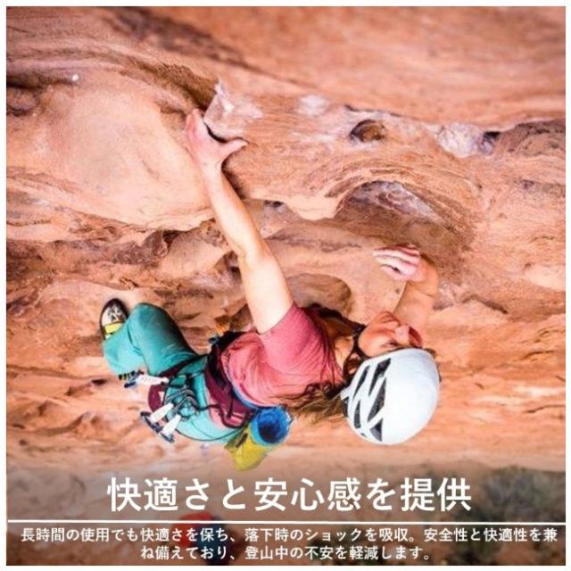 ブルーアイス BLUE ICE クエスタ ハーネス ウイメンズ アウトドア 登山