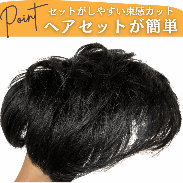 ウィッグ メンズ 人毛100% メンズウィッグ かつら ヘアピース