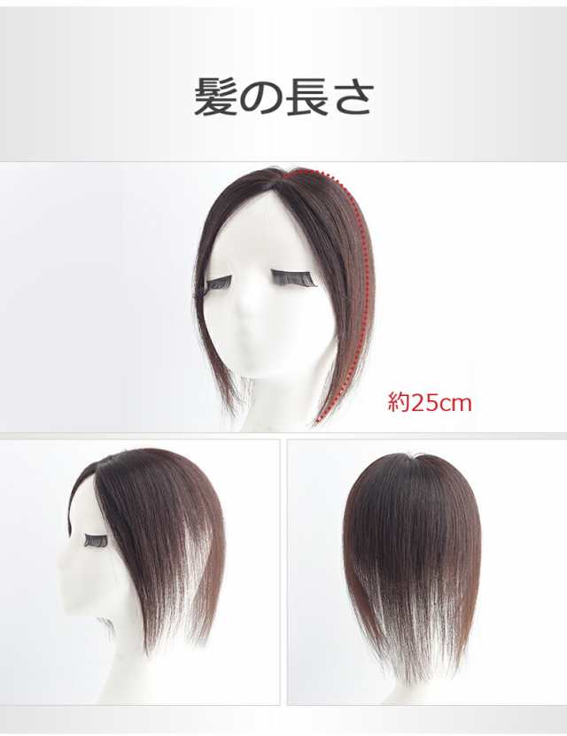 私元気 人毛 広範囲カバー 総手植え 部分ウィッグ【25cm】部分 私元気 人毛 広範囲カバー 総手植え 部分ウィッグ【25cm】部分