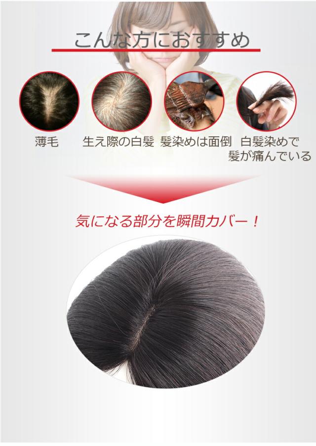 私元気 人毛 広範囲カバー 総手植え 部分ウィッグ【25cm】部分ウィッグ ...