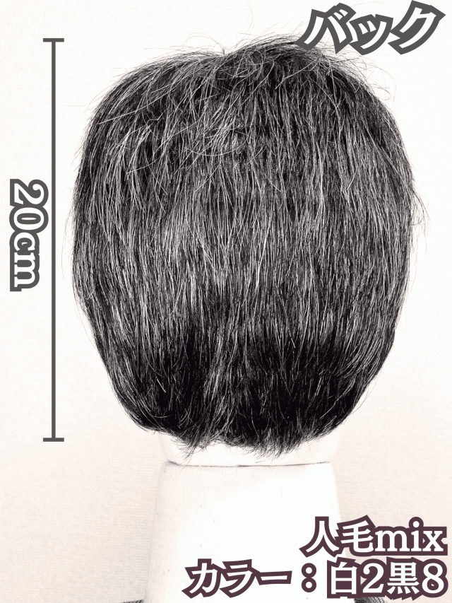 白髪ウィッグ 白髪かつら 医療用 フルウィッグ ヘアピース 全頭かつら 白髪 グレイヘア 高齢者 シニア ウィッグ ウルフ ボブ ショート 耐熱 レディース 人毛mix ウィッグ ミセス つむじ かつら シルバー 女装 自然 コスプレ ストレート Luce brillare ルスブリラーレ_5