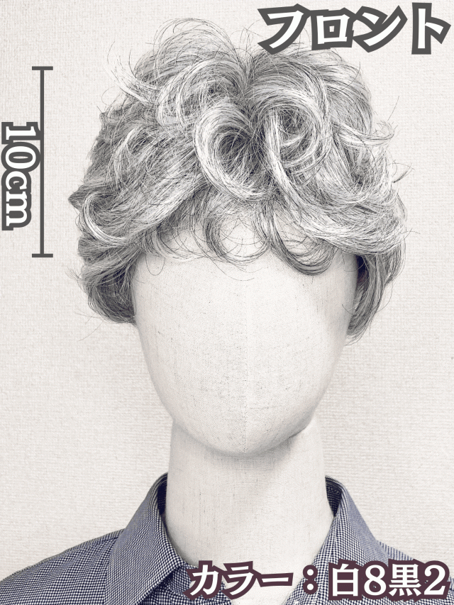 大衆演劇 かつら -いなせ- 楽天市場】ウィッグ 白髪 白髪かつら 医療用 フルウィッグ ショート
