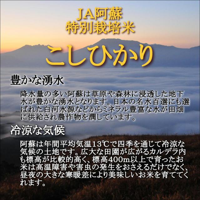 無洗米　令和７年産　ＪＡ阿蘇　特別栽培米こしひかり　20kg(5kg4袋)　米　お米　おこめ　白米　精米　【無特＿阿蘇こしひかり２０ｋｇ】_1