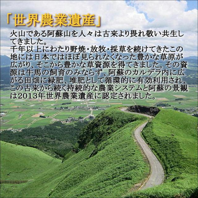 無洗米　令和７年産　ＪＡ阿蘇　特別栽培米こしひかり　20kg(5kg4袋)　米　お米　おこめ　白米　精米　【無特＿阿蘇こしひかり２０ｋｇ】_2