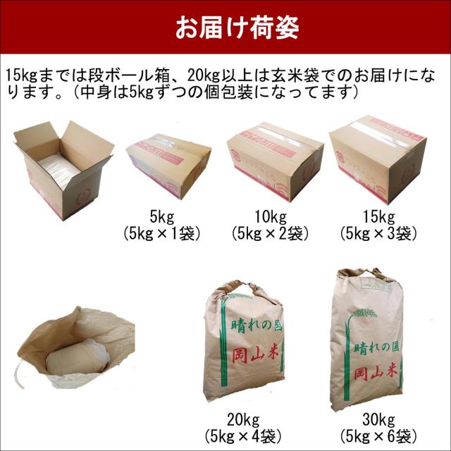 無洗米　令和７年産　ＪＡ阿蘇　特別栽培米こしひかり　20kg(5kg4袋)　米　お米　おこめ　白米　精米　【無特＿阿蘇こしひかり２０ｋｇ】_6
