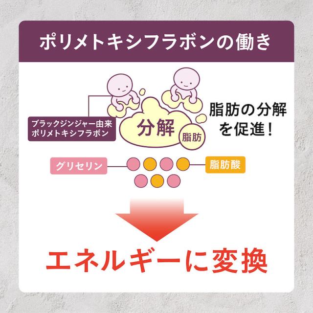 ダイエット サプリ サポート ブラックジンジャー スラミー お腹