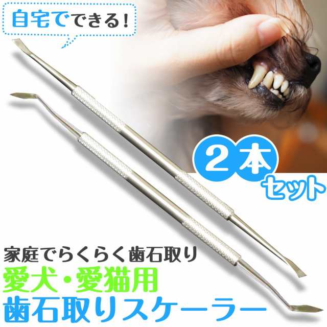 当店限定販売 歯石取り 犬 猫 ペット用 スケーラー 歯石除去 歯磨き 虫歯予防 器具
