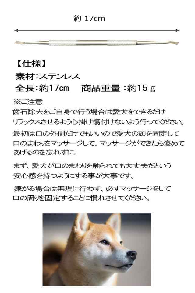 歯石取り 犬 猫 ペット用 スケーラー 歯石除去 歯磨き 虫歯予防 器具