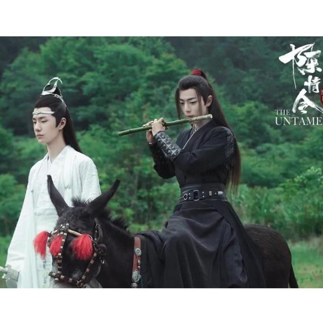 陳情令 Blu-ray DVD 中国ドラマ 送料無料 日本語字幕 DVD 全50話 日本語字幕 【通常版】 魏無羨 藍忘機 肖戰 王一博_2