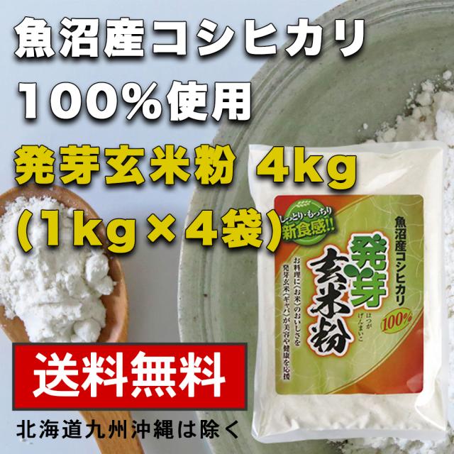 魚沼産コシヒカリ 発芽玄米粉 4kg 1kg×4袋 グルテンフリー 国産 お菓子材料 ケーキ パン 材料 小麦不使用 送料無料