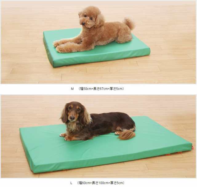 犬用介護マットレス 床ずれ防止・防水マットレス Mサイズ（グリーン