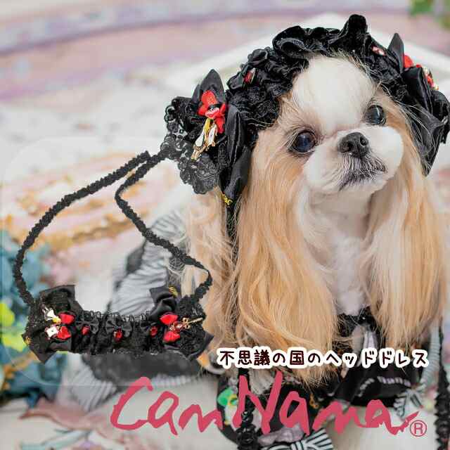 犬 アクセ ハロウィン CanNana 【きゃんナナ】不思議の国のアリスの