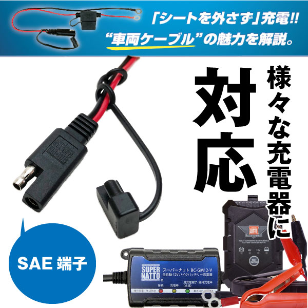 希少☆中古☆トヨタ純正充電ケーブル☆100V専用☆12A 希少☆中古