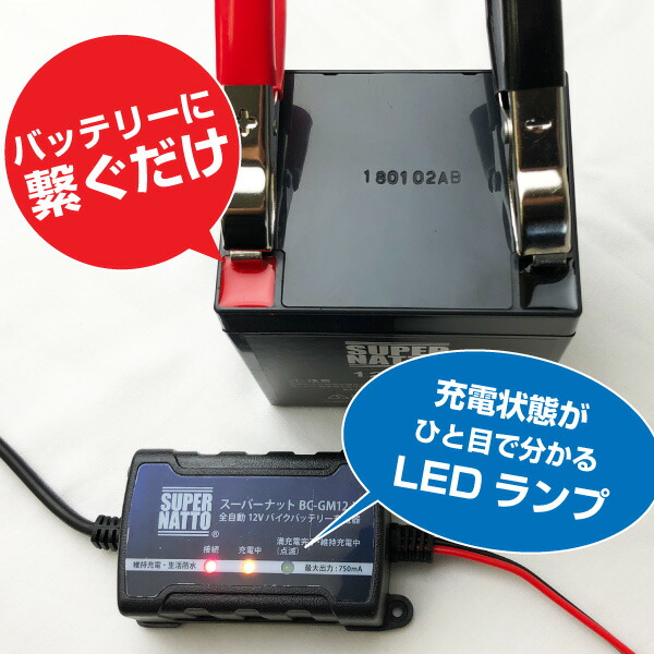 電動リール バッテリー■バッテリー（12V20Ah） 2個 ダイワ シマノ 対応 ＋ 充電器 セット+釣り用端子(ネジ)■スーパーナットST1220E【送料無料】マリン バスボート エレキ 対応【エレキボート用バッテリー】【新品】【今だけ！使用済みバッテリー回収無料】 電動リール バッテリー□バッテリー（12V20Ah） 2個 ダイワ シマノ