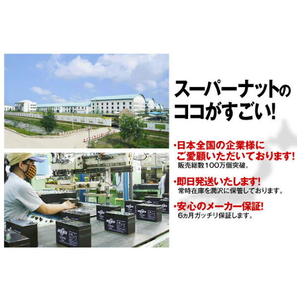【在庫あり・即納】12SN9【お得！4+個セット】■純正品と完全互換【安心の動作確認済み製品】■NP7-12,WP1236W,NPH7-12,PE12V7.2,PXL12072,HF7-12,HV7-12,HP6.5-12対応■USPバッテリーキットに対応■スーパーナット【安心保証付き】【新品】_7
