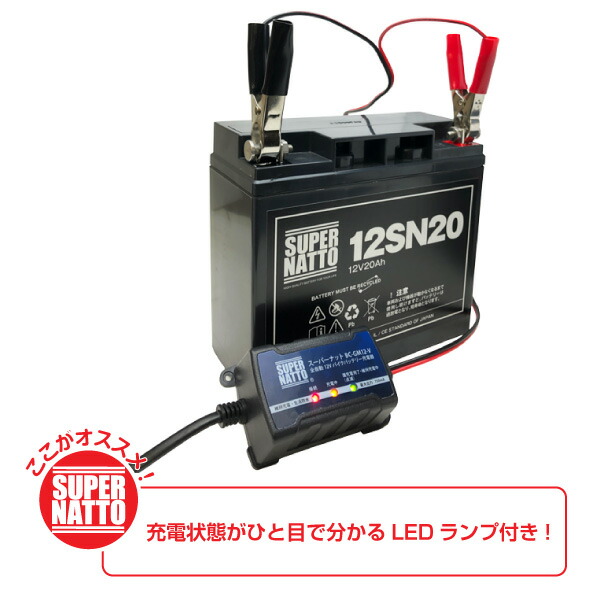 バッテリー（12V20Ah）ダイワ シマノ 対応＋充電器＋防水キャリー