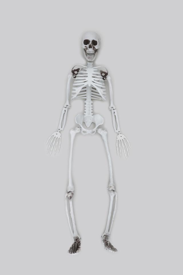 等身大骸骨 90cm（725798 ）ガイコツ ハロウィン ディスプレイの