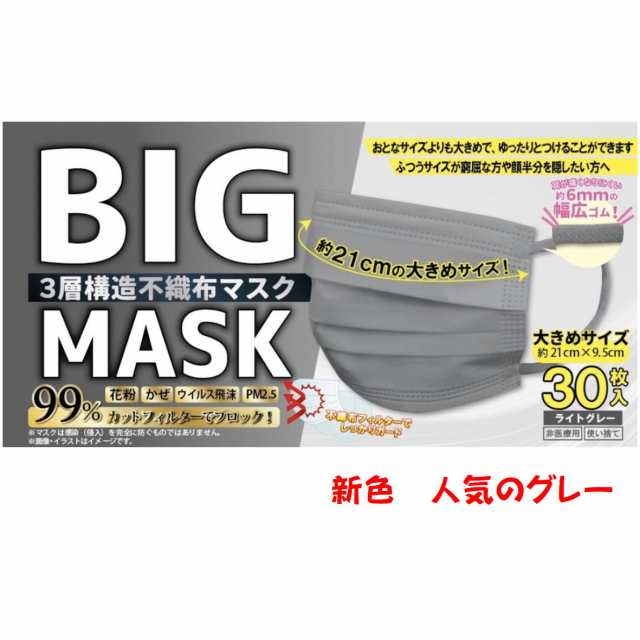 BIG MASK ビッグマスク 大きめサイズ 3層構造 不織布 30枚 ホワイト