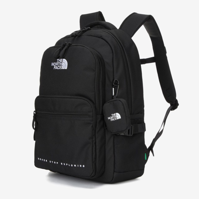 【新品タグ付】THE NORTH FACE　海外限定デイバッグ