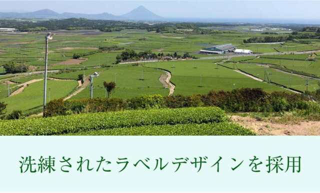 【ラベルレス新登場！】緑茶 彩茶-あやちゃ- お茶 500ml×24本 鹿児島県産茶葉使用 送料無料 ライフドリンクカンパニー LIFEDRINK  日本茶