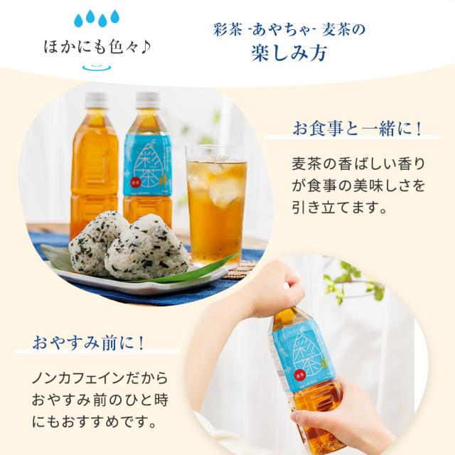 麦茶 彩茶 -あやちゃ- お茶 ムギ茶 500ml×24本 六条大麦 ライフ