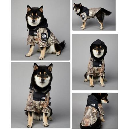 THE DOG FACE　犬　犬用　レインコート　犬服　小型犬　中型犬　大型犬　おしゃれ　カッパ　フード付き　雪　梅雨　雨具