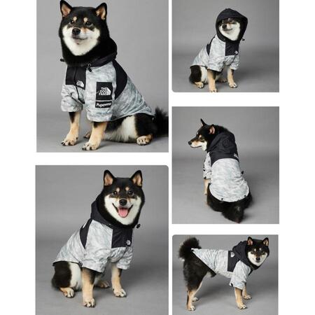 THE DOG FACE　犬　犬用　レインコート　犬服　小型犬　中型犬　大型犬　おしゃれ　カッパ　フード付き　雪　梅雨　雨具